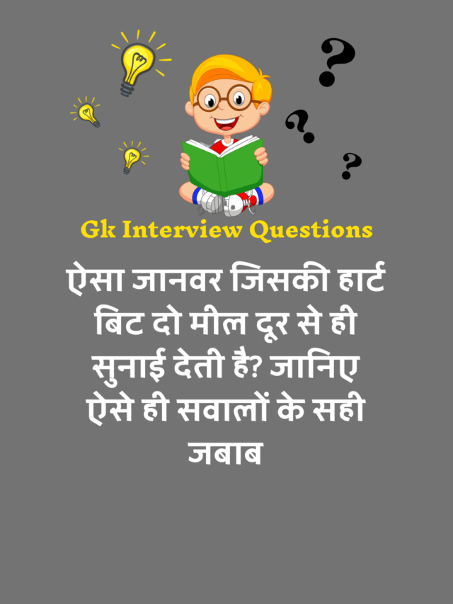 General Knowledge interview Questions : सामान्य ज्ञान