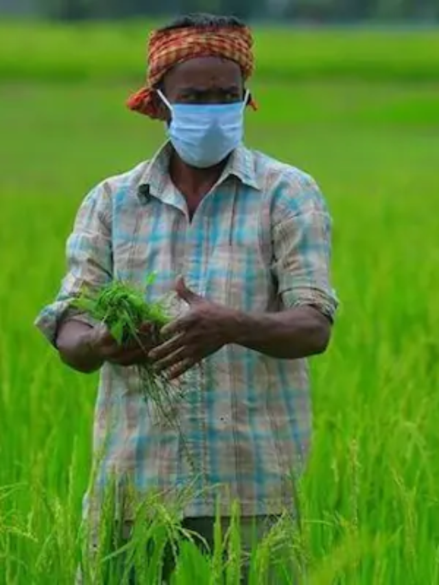 jrfry-jharkhand-fasal-rahat-yojana के लाभ एवं विशेषताएं