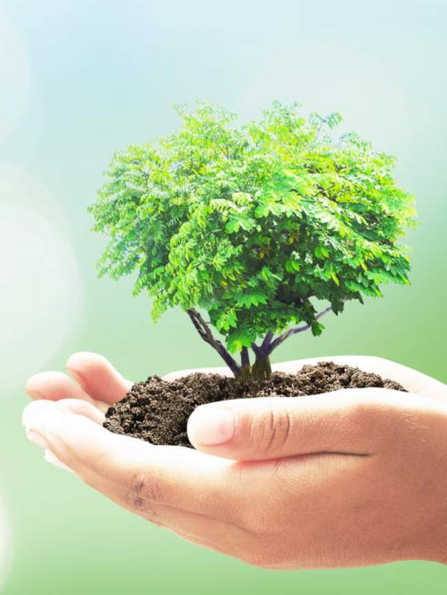 Earth Day 2023: क्यों मनाया जाता है पृथ्वी दिवस? क्या है इसका महत्व, जानिए इस साल की थीम