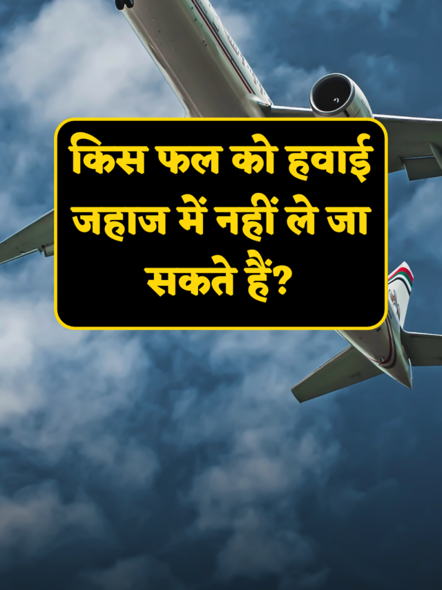 Interesting gk in hindi : किस फल को हवाई जहाज में नहीं ले जा सकते हैं?