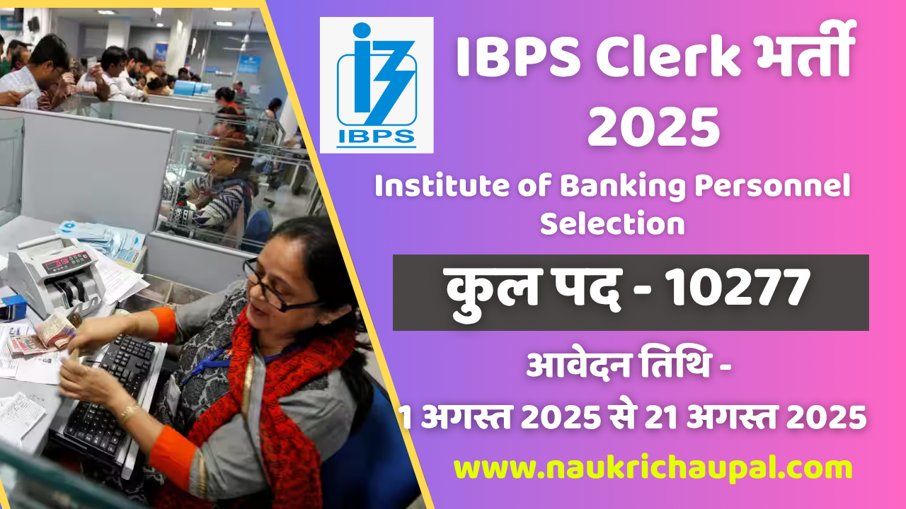 IBPS Clerk Recruitment 2025 - IBPS ने निकाली क्लर्क की 10277 पदों पर भर्ती